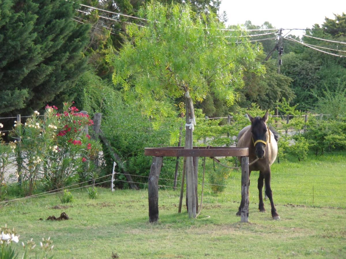 El Sendero - Gueiraldes B&B San Antonio de Areco Exteriör bild